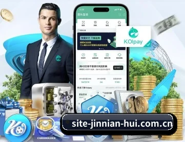 金年会 APP 深度功能